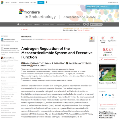 Androgen Regulation of the Mesocorticolimbic System and Executive Function