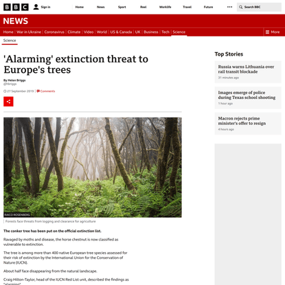 ‘Alarming’ extinction threat to Europe’s trees