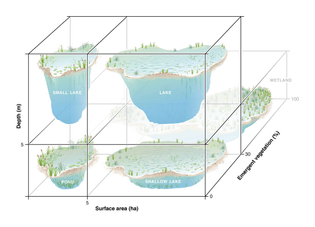 Conceptual model to define lentic waterbodies based on three different criteria