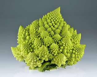 525px-romanesco_broccoli_-brassica_oleracea-.jpg