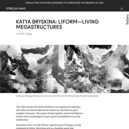 Katya Bryskina: Liform—Living Megastructures
