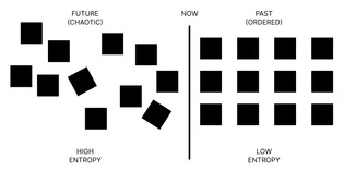 entropy-1-.png