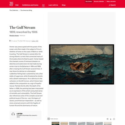 Winslow Homer | The Gulf Stream | American | The Metropolitan Museum of Art
