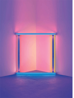 richard-shiff-on-dan-flavin-in-series-and-progressions-4.jpg