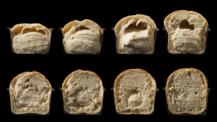 bread_ovens_baking-sequence-cutaway_opener_21806.jpg