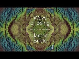 Brian Eno and James Bridle on Ways of Being | 5x15