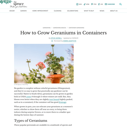 Tips for Growing Geraniums a Container Garden