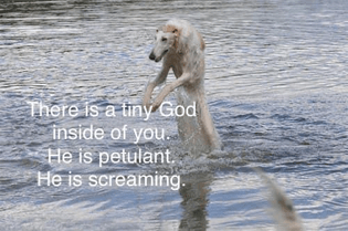 c50d70c9-c969-43df-8f2c-68919f5150ab.jpeg