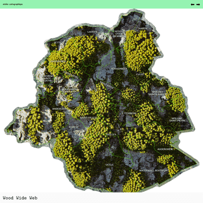 Wood Wide Web - atelier cartographique