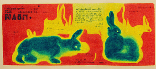 dd8cb6ea-5adc-4112-a80f-af1c2ac71c77_makkiedawg_thermal_heat_map_of_a_rabbit_graphic_riso_postcard_1960.png