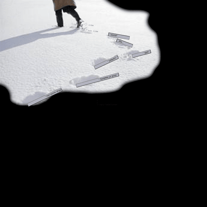 Ursula Endlicher | Input Fields Forever: SNOW