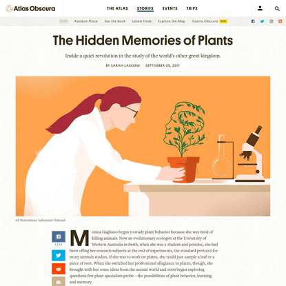 A Quiet Revolution in Botany: Plants Form Memories