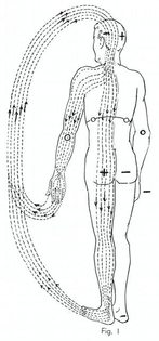 b2c85406e3ce6e94fa7695d69e66b1ed.jpg