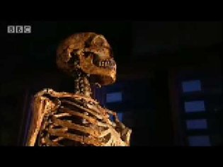 High-pitched voice theory - Neanderthal - BBC science