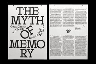 The Myth of Memory (Offshore)