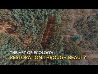 The Art of Ecology: Restoration through beauty