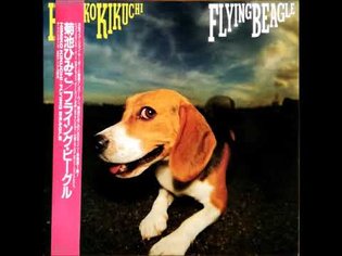 Himiko Kikuchi - Flying Beagle (1987) FULL ALBUM