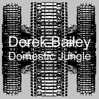 Domestic Jungle, by Derek Bailey