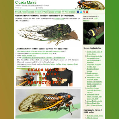 Cicada Mania: Photos, Sounds, News &amp; Facts About Cicadas