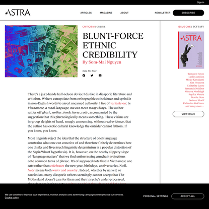 Blunt-Force Ethnic Credibility | Som-Mai Nguyen