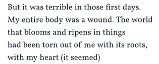 Rainer Maria Rilke, The Book of Images