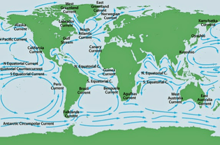 TRACE trade maps caribbean basin — Are.na