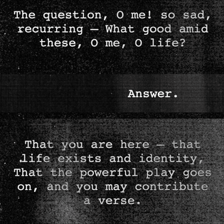 The question, O me! so sad, recurring — What good amid these, O me, O life?

                   Answer.
That you are here — that life exists and identity, That the powerful play goes on, and you may contribute a verse.