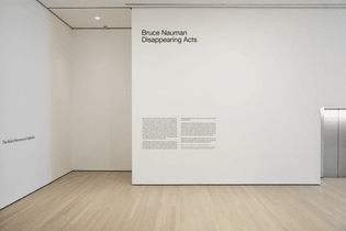 Bruce Nauman: Disappearing Acts