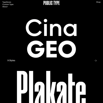 Public Type