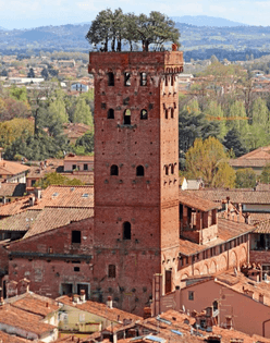 The Guinigi Tower