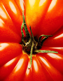 dxthm1000.170516-cover-tomato-1633-v1.jpg