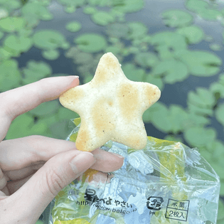 STAR 41