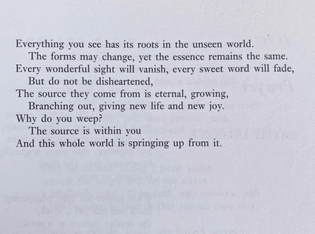 Rumi