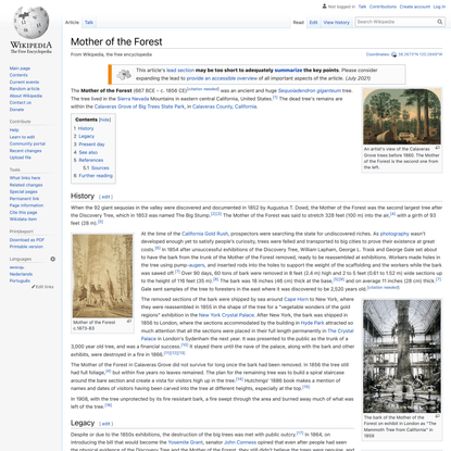 Mother of the Forest - Wikipedia