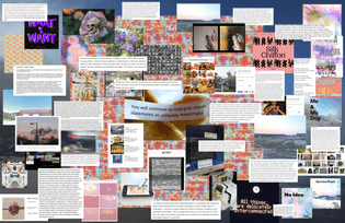 collectioncollage.jpg