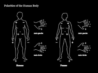 human_body_polarities-2.jpg
