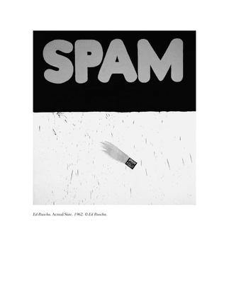 steyerl_hito_2011_digital_debris_spam_and_scam.pdf