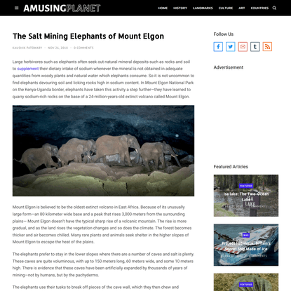 The Salt Mining Elephants of Mount Elgon