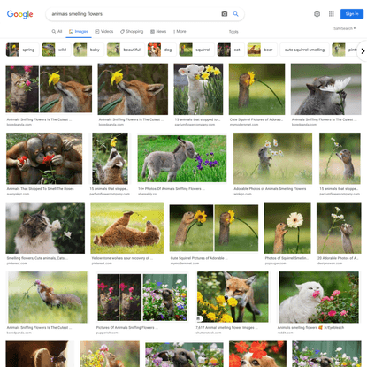 animals smelling flowers - Google Search