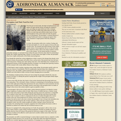 Porcupines And Their Need For Salt -