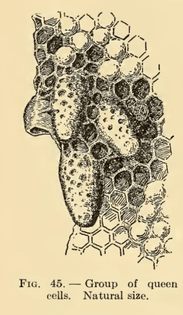 2022-08-04_19.11.52_237x407.png