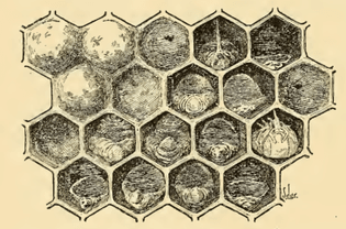 2022-08-04_19.16.55_366x242.png