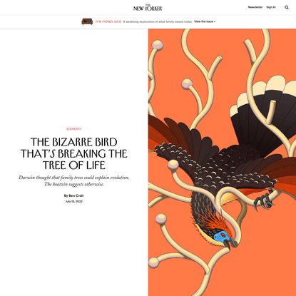 The Bizarre Bird That’s Breaking the Tree of Life | The New Yorker
