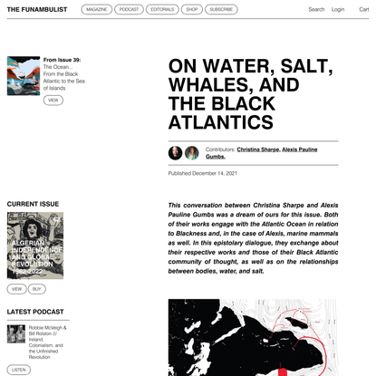 On Water, Salt, Whales, and the Black Atlantics