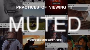 Practices of Viewing: Muted