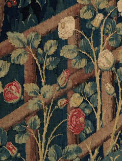 roses (1495)