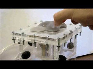 Haptic jamming: A deformable geometry, variable stiffness tactile display using pneumatics and...