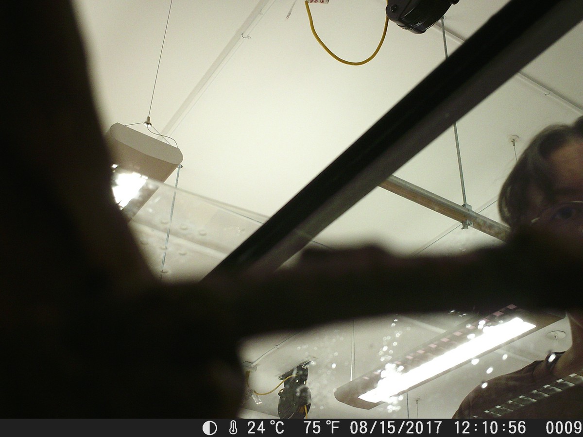 Motion sensors — Are.na