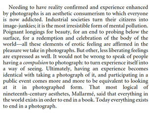Susan Sontag, In Plato's Cave, On Photography