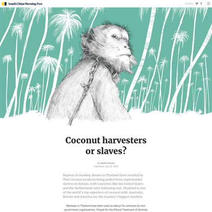 Monkey helpers or coconut slaves?